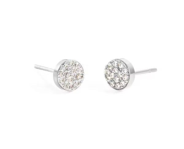 Hint of Sparkle Earrings